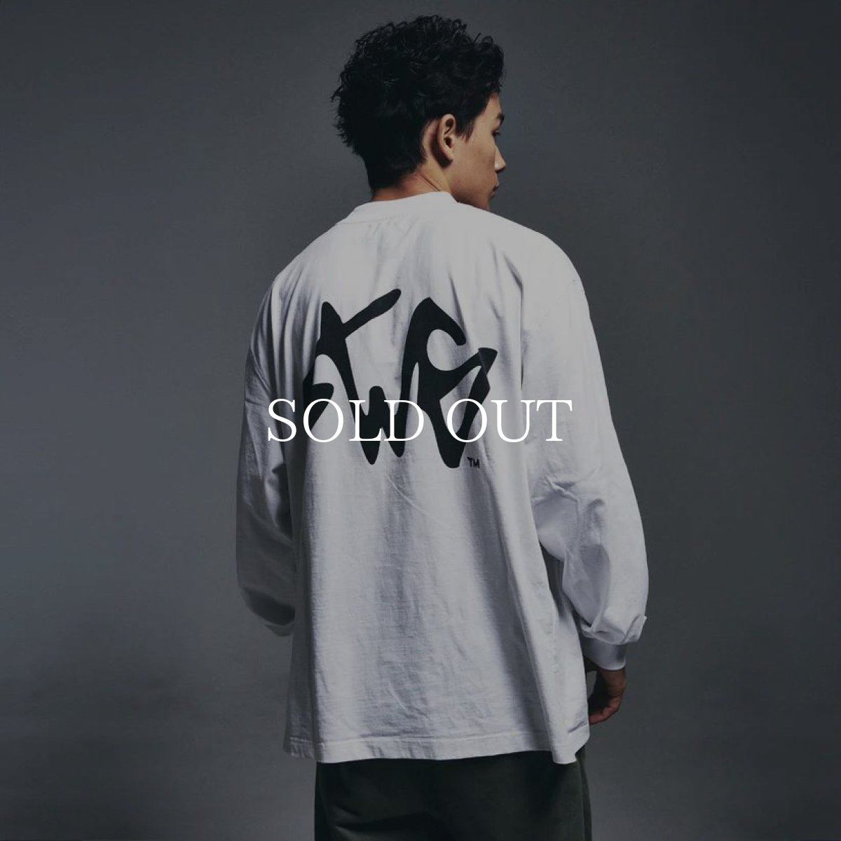 画像24: SWAGGER®  SWG SIGNATURE LOGO LT-SHIRT (24)