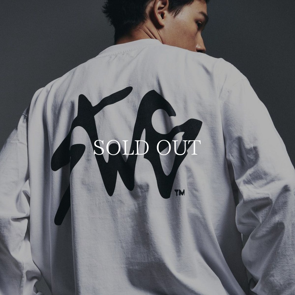 画像25: SWAGGER®  SWG SIGNATURE LOGO LT-SHIRT (25)