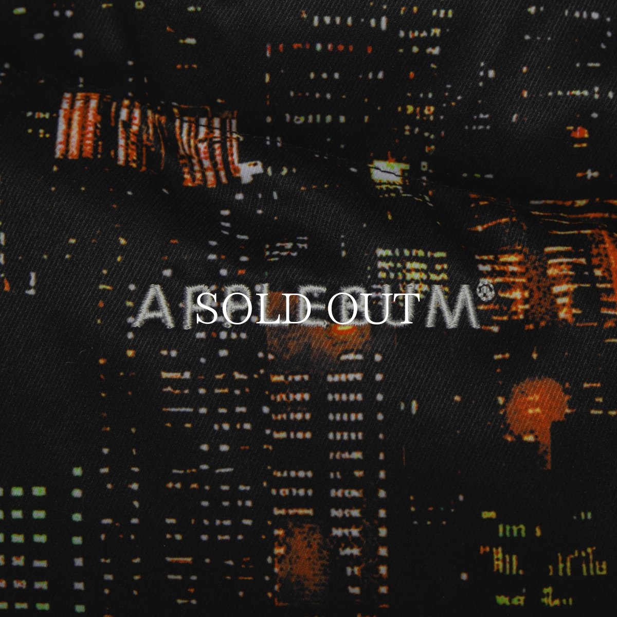 画像5: APPLEBUM  “Babylon View2” Innercotton Hood Jacket (5)