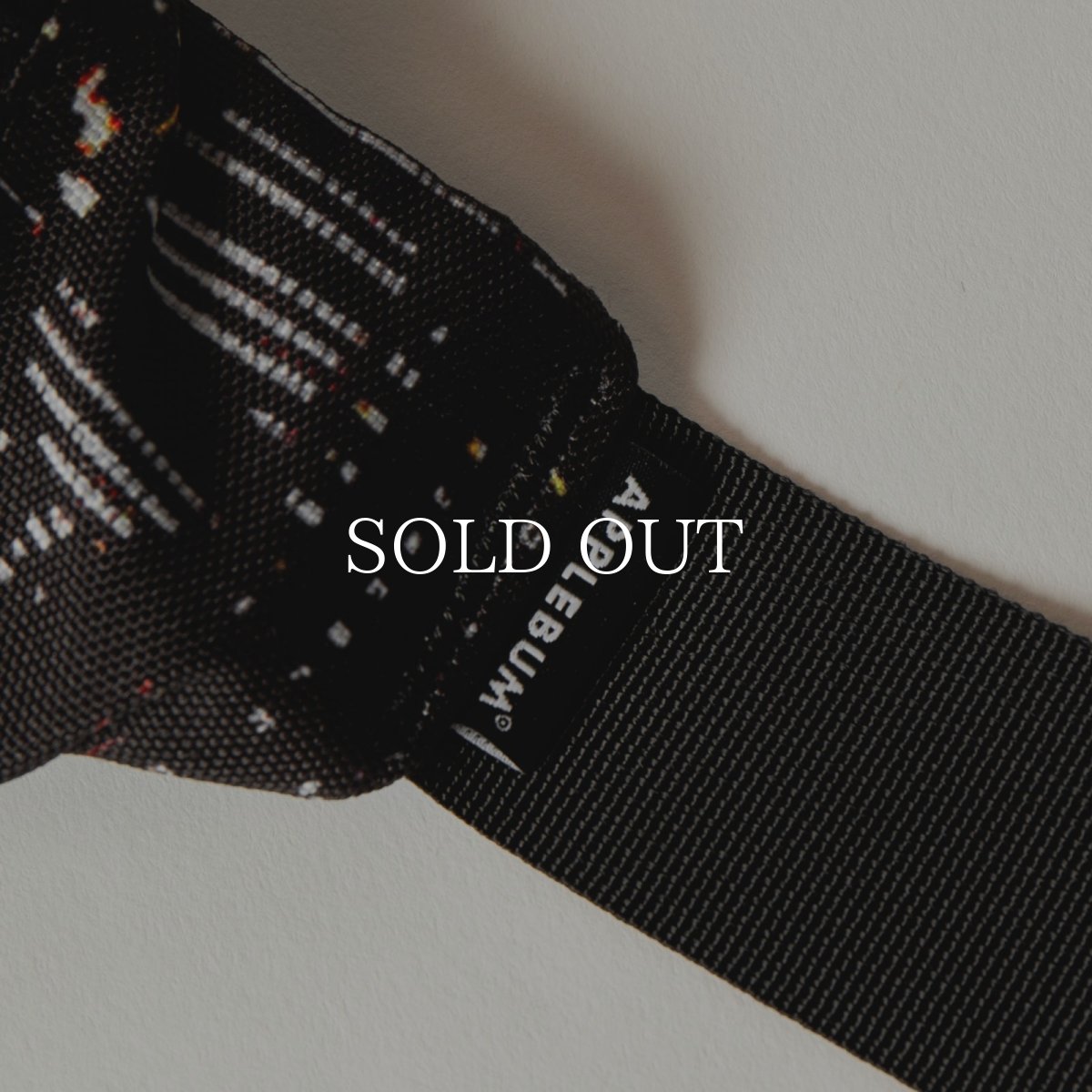 画像3: APPLEBUM  “Babylon View2” Waist Bag (3)