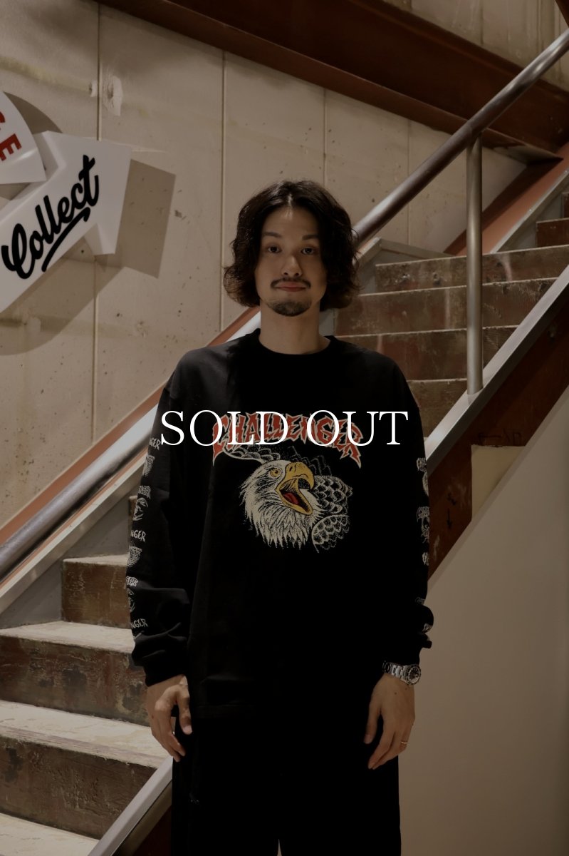 画像5: CHALLENGER  L/S EAGLE HEAD TEE (5)