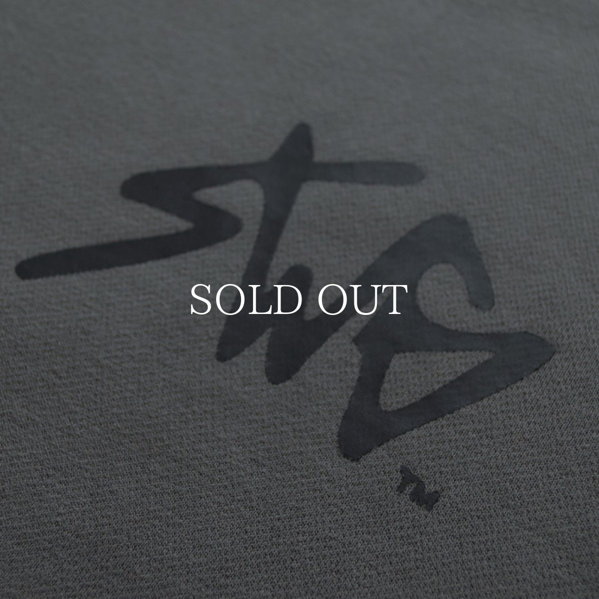 画像7: SWAGGER®  SWG SIGNATURE LOGO HOODIE	 (7)