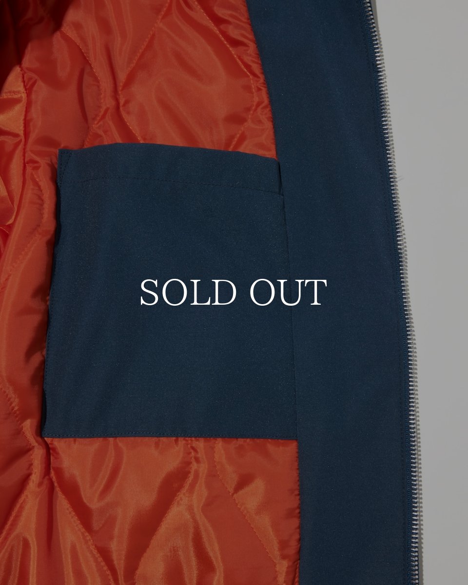 画像10: RADIALL  WHEELS - ZIP UP BLOUSON (10)