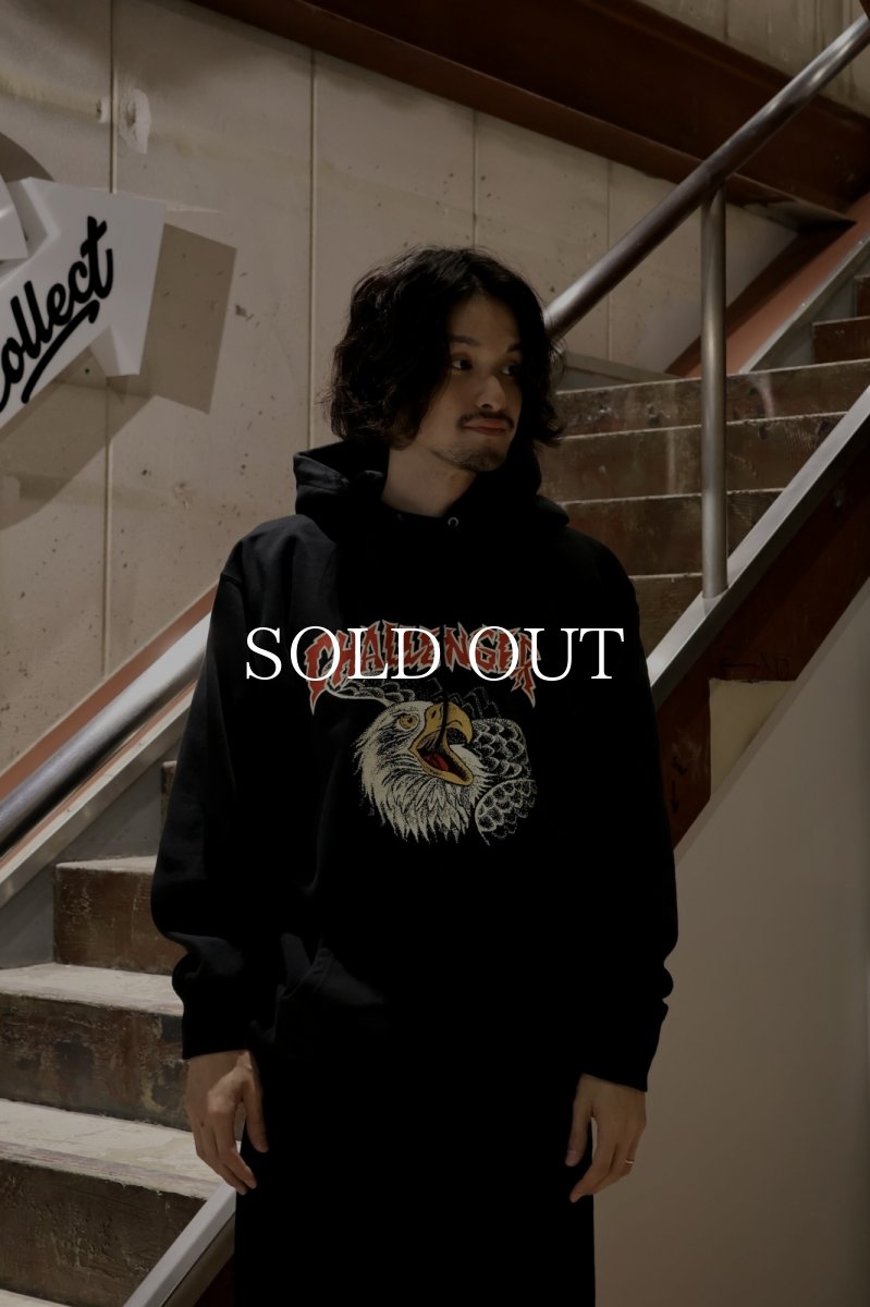 画像7: CHALLENGER  EAGLE HEAD HOODIE (7)