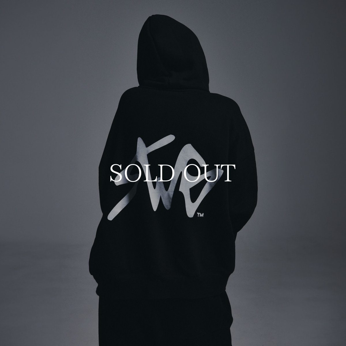 画像10: SWAGGER®  SWG SIGNATURE LOGO HOODIE	 (10)