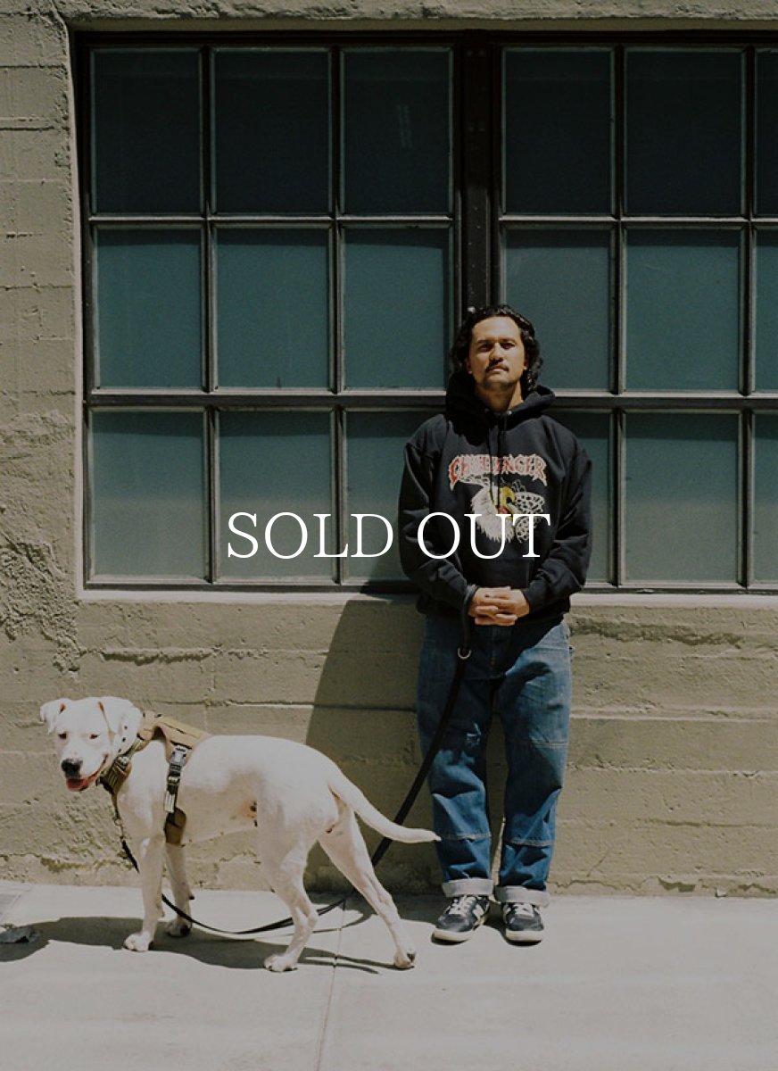 画像6: CHALLENGER  EAGLE HEAD HOODIE (6)