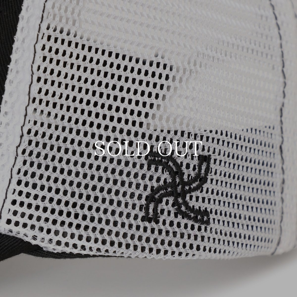 画像5: CHALLENGER  TWO TONE LOGO CAP (5)