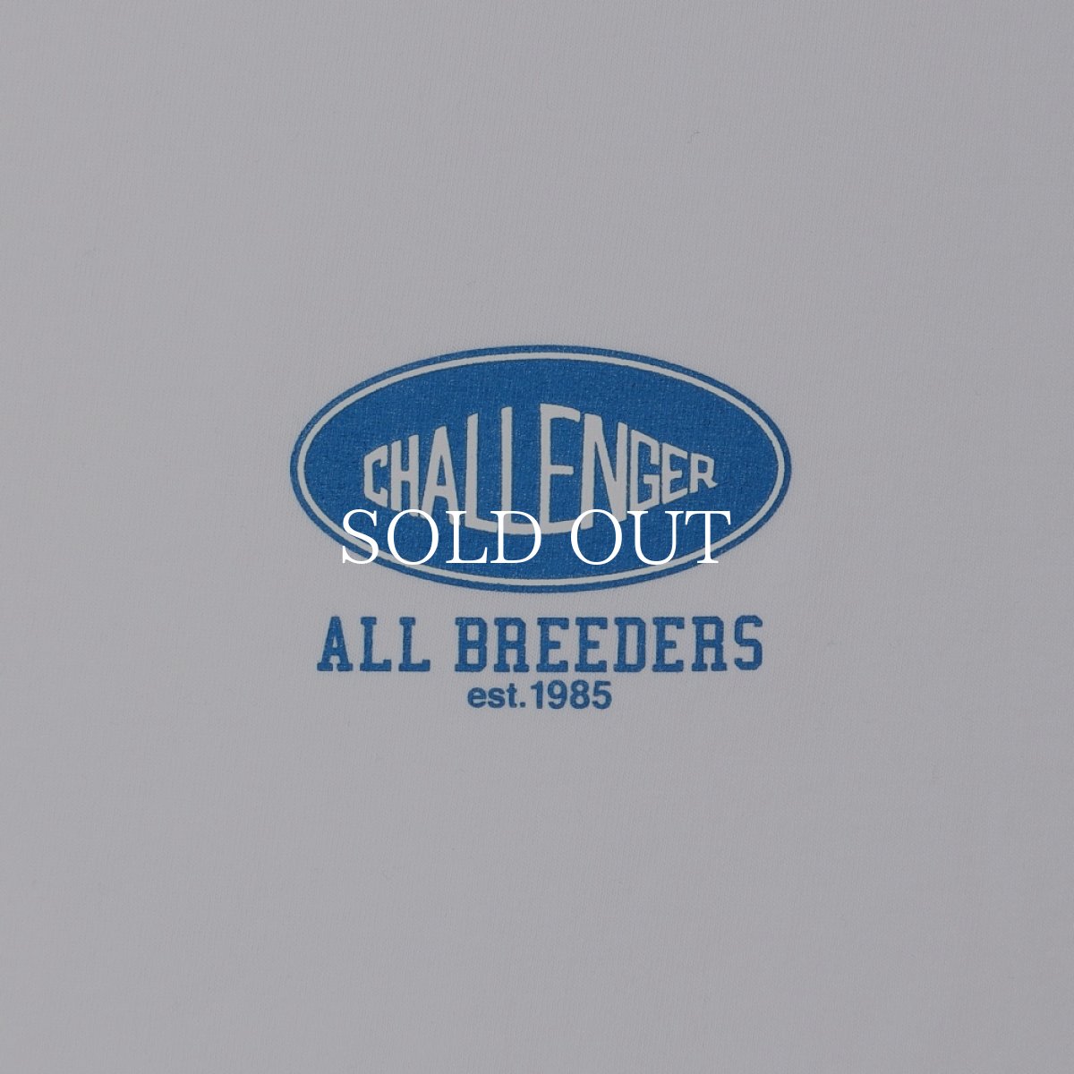 画像4: CHALLENGER  FROG TEE (4)