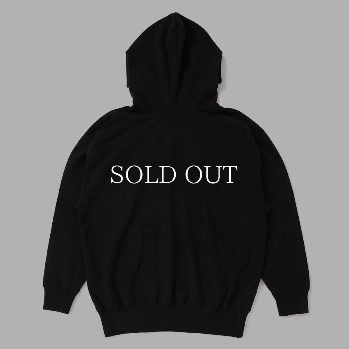 画像3: CHALLENGER  TWO TONE LOGO HOODIE (3)