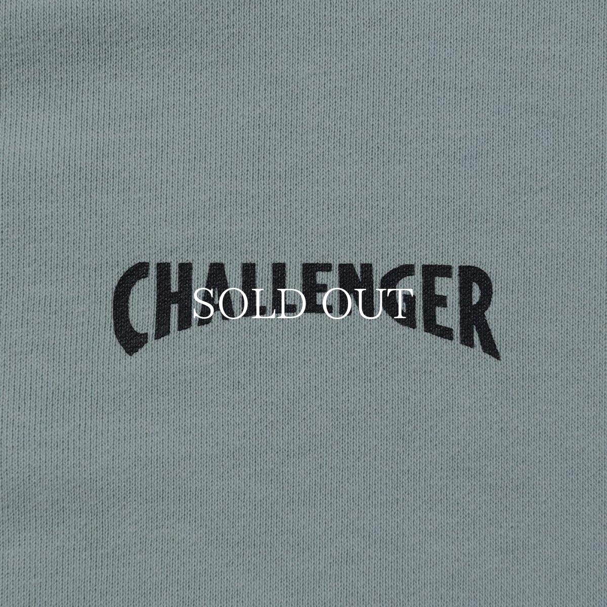 画像8: CHALLENGER  HEY DUCK ZIP HOODIE (8)