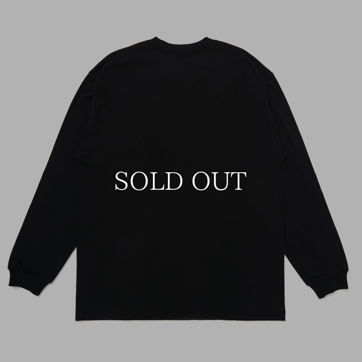 画像2: CHALLENGER  L/S PUNK GIRL TEE (2)