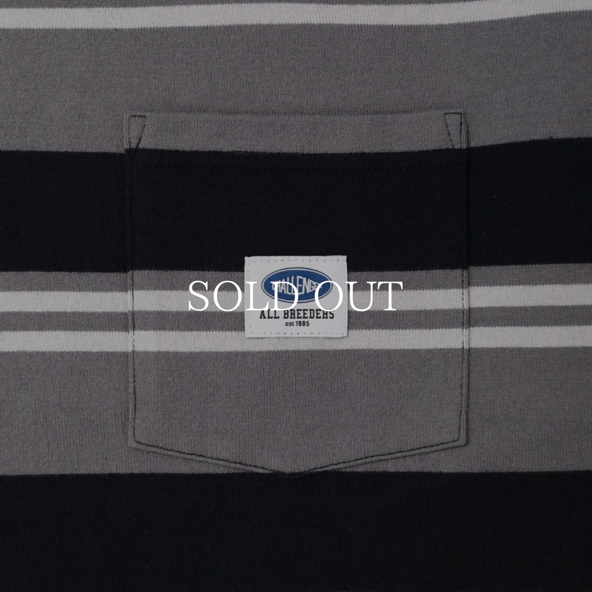 画像5: CHALLENGER  L/S BORDER TEE (5)