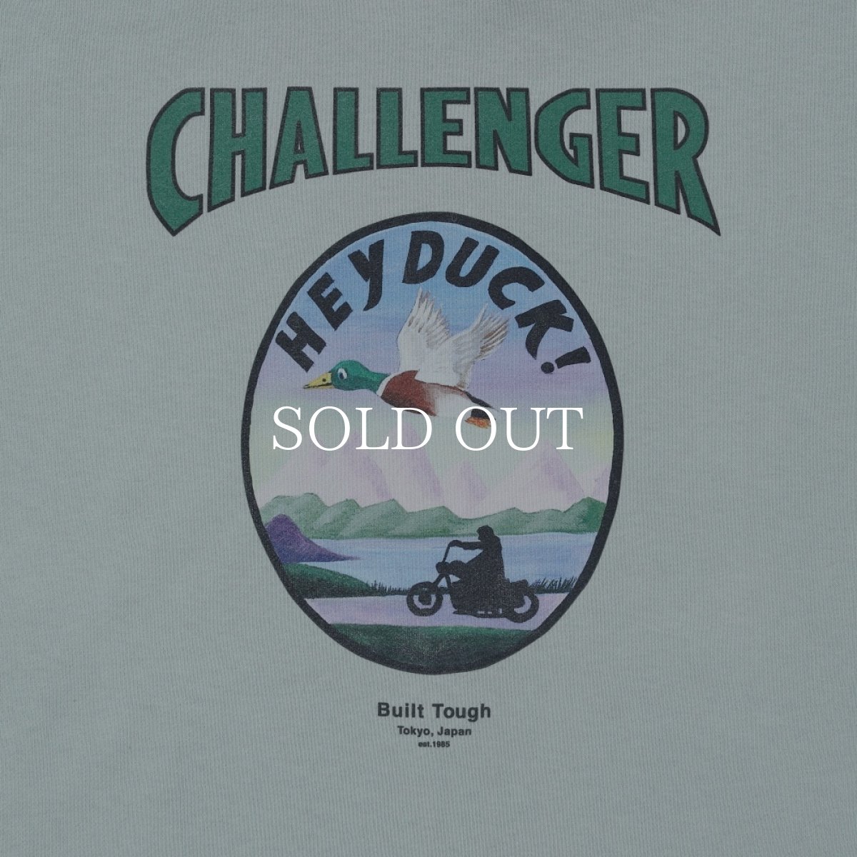 画像7: CHALLENGER  HEY DUCK ZIP HOODIE (7)