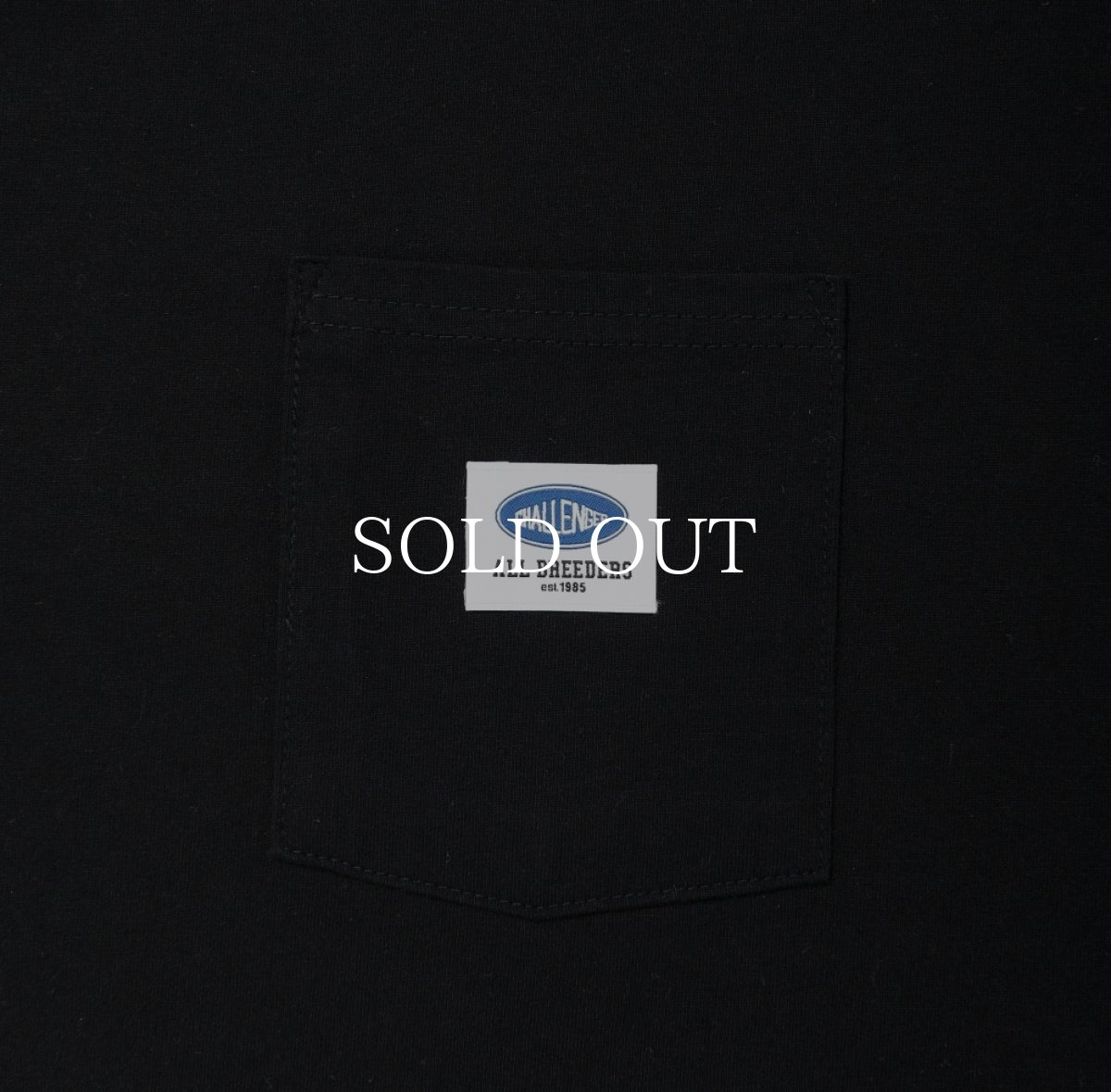 画像4: CHALLENGER  CIGAR POCKET TEE (4)