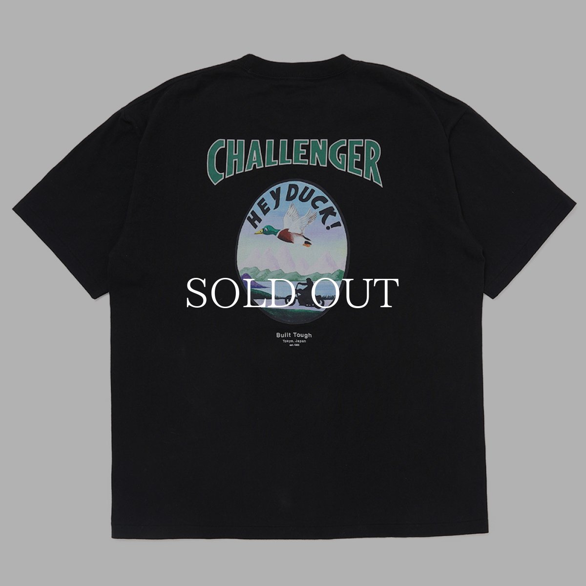 画像1: CHALLENGER  HEY DUCK TEE (1)