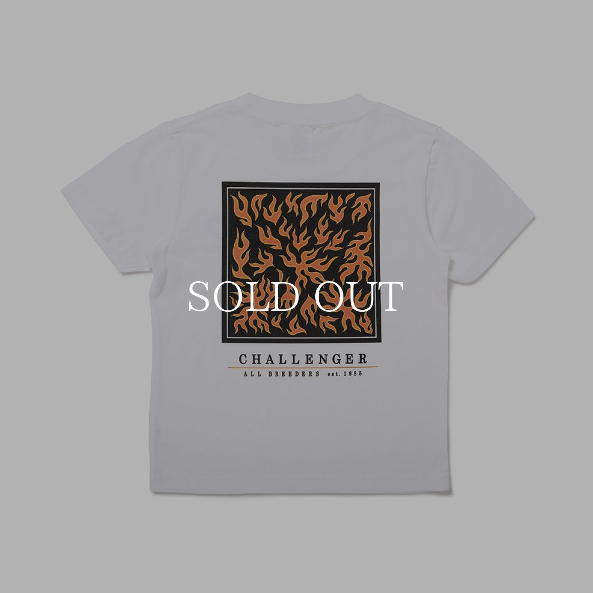 画像3: CHALLENGER  FIRE BANDANA KIDS TEE (3)