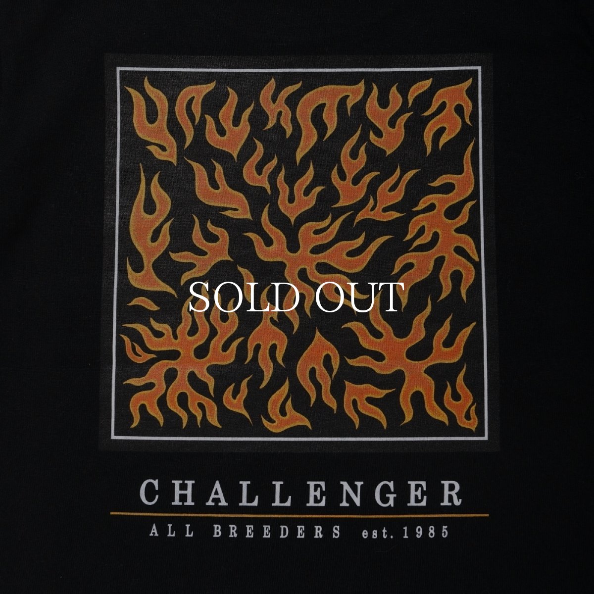 画像2: CHALLENGER  FIRE BANDANA KIDS TEE (2)