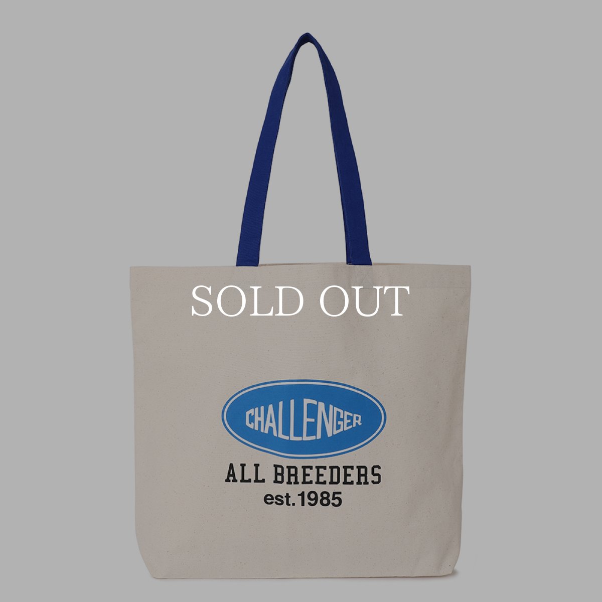画像1: CHALLENGER  TOTE BAG (1)