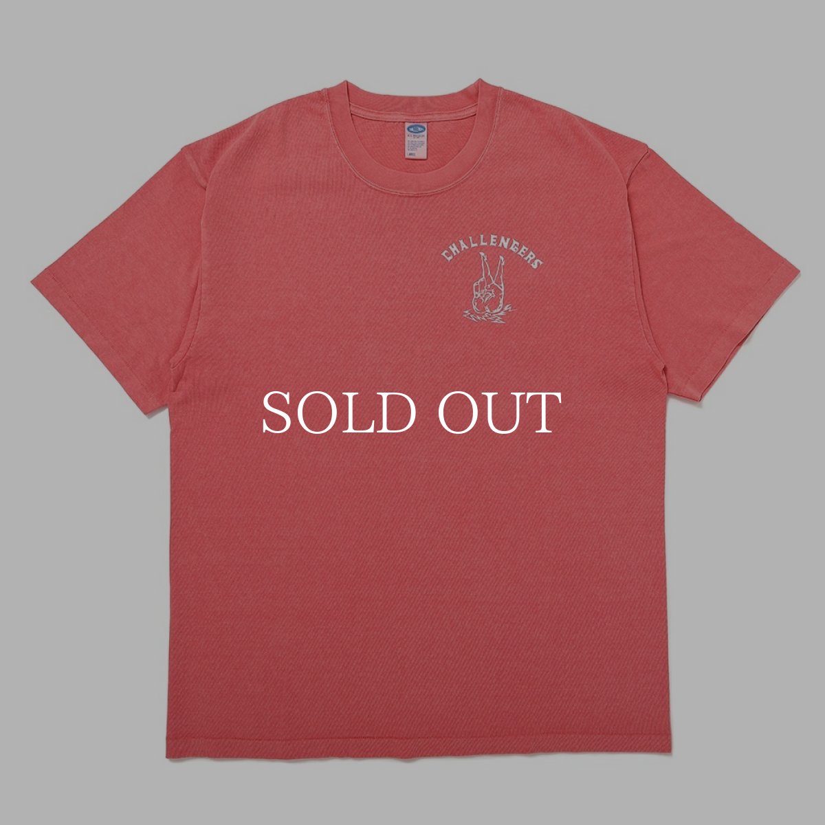 画像7: CHALLENGER  【再入荷】PIGMENT PEACE TEE (7)