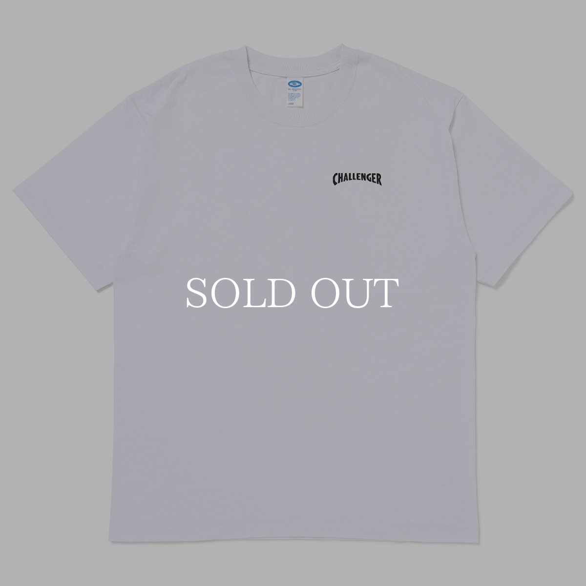 画像6: CHALLENGER  HEY DUCK TEE (6)