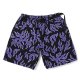 PURPLE - BLACK