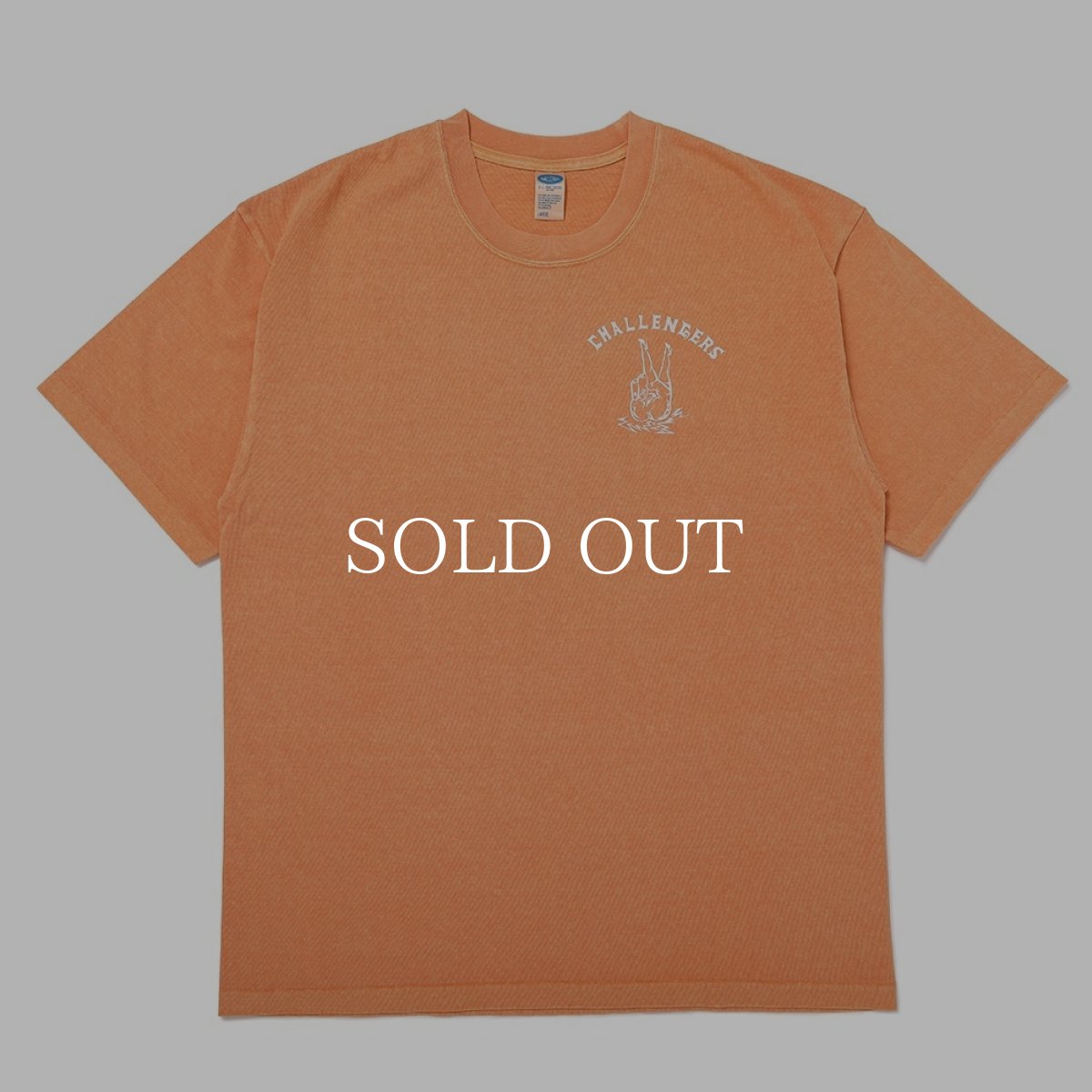 画像9: CHALLENGER  【再入荷】PIGMENT PEACE TEE (9)