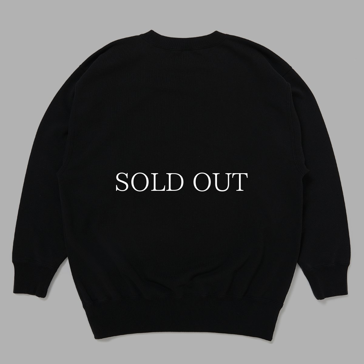 画像2: CHALLENGER  PUNK GIRL C/N SWEAT (2)