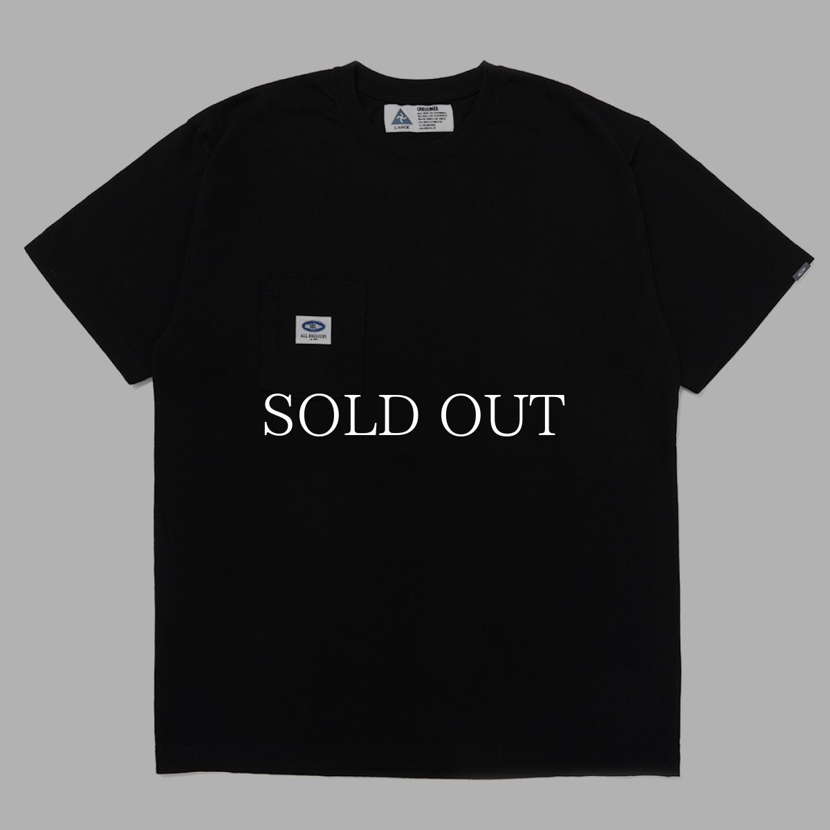 画像2: CHALLENGER  COCKTAIL POCKET TEE  (2)