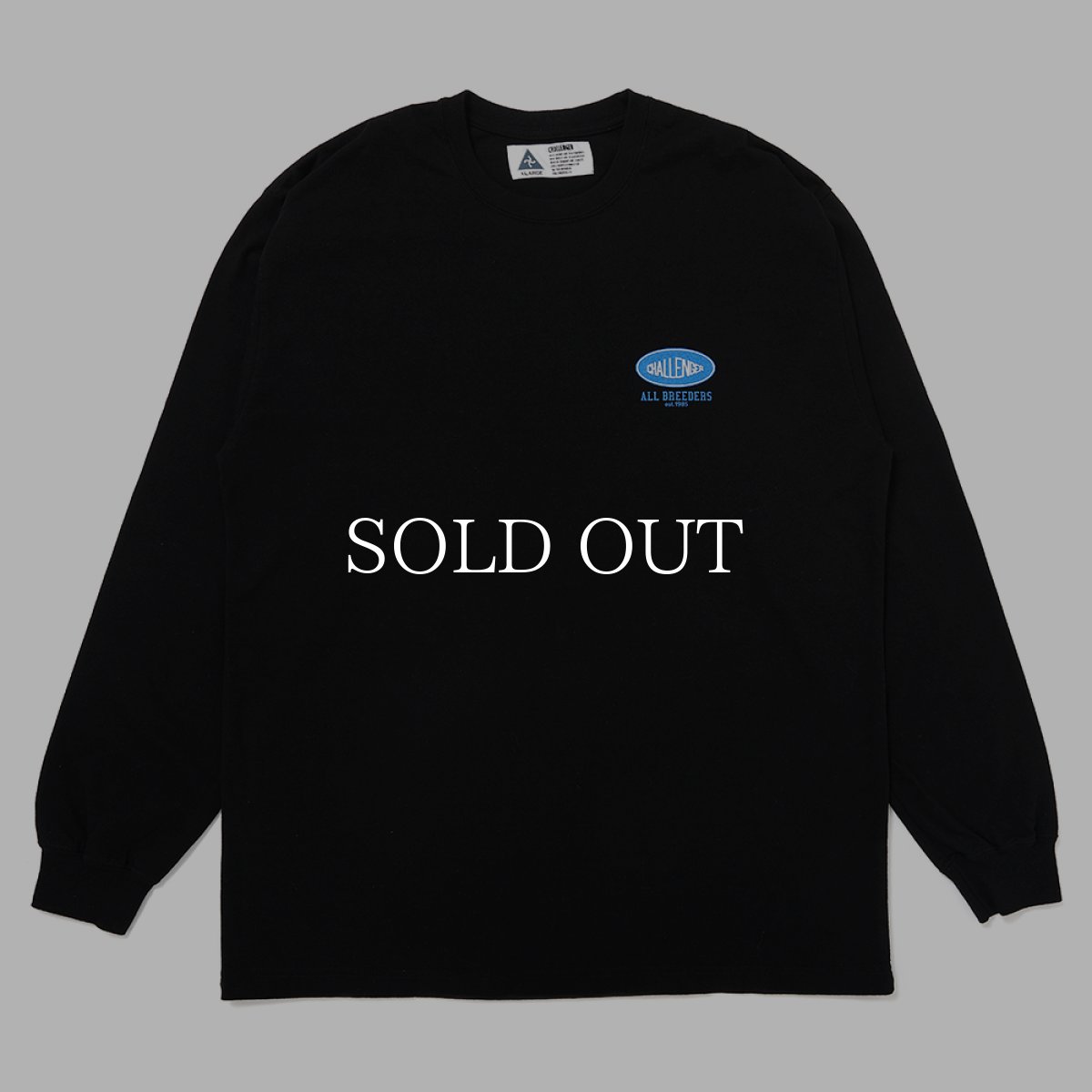 画像2: CHALLENGER  L/S ROSE BANDANA TEE (2)