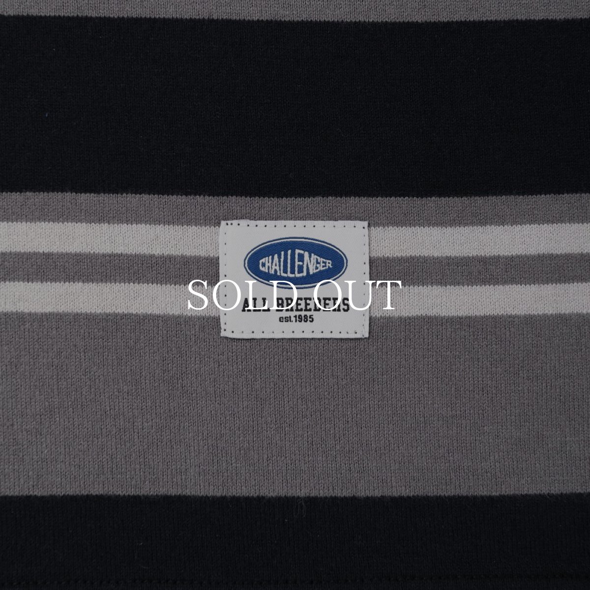 画像5: CHALLENGER  S/S BORDER POLO (5)