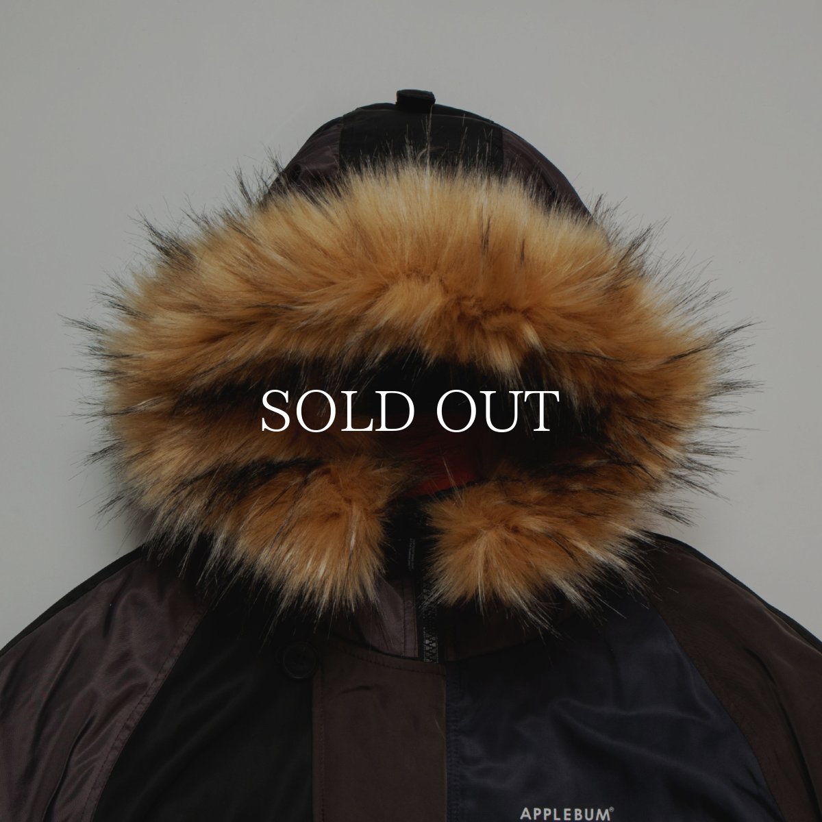 画像3: APPLEBUM  Multi Color N-3B Jacket (3)