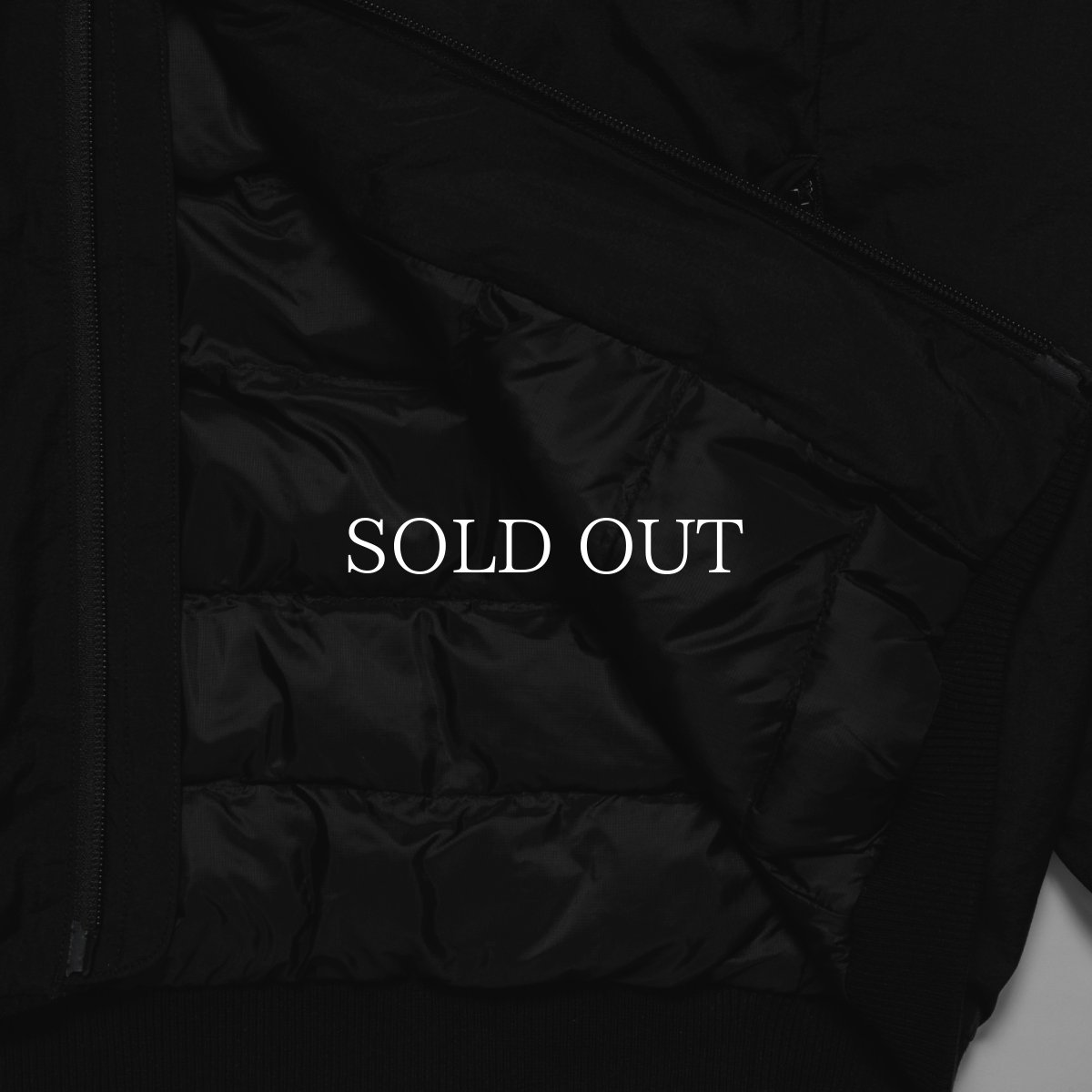 画像8: APPLEBUM  Light MA-1 Jacket (8)