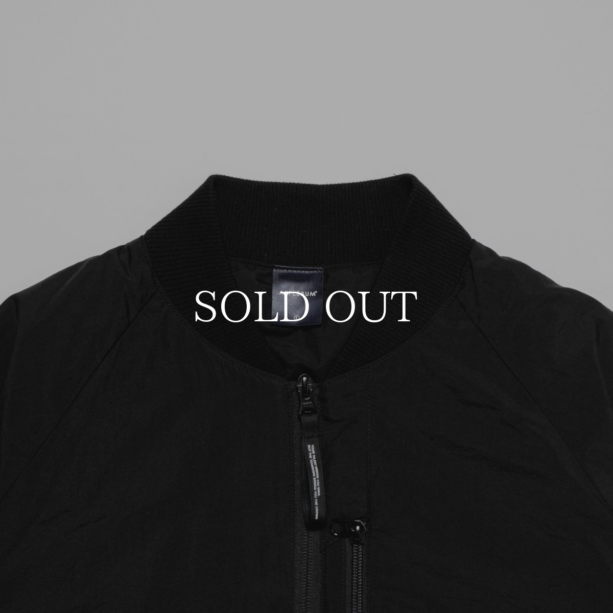 画像3: APPLEBUM  Light MA-1 Jacket (3)