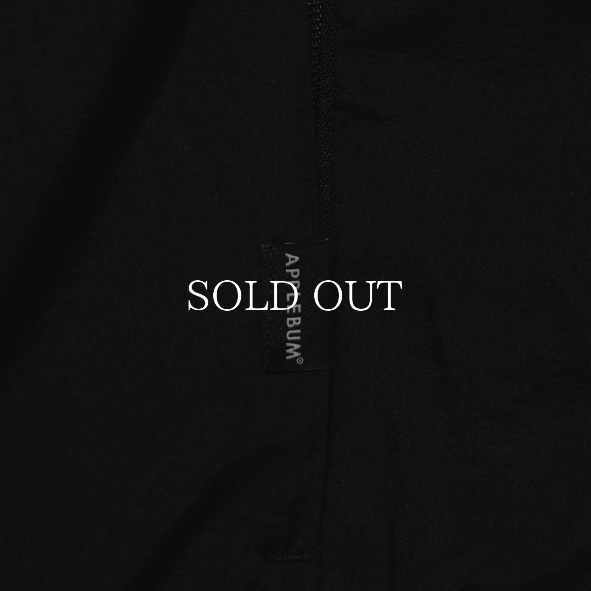 画像7: APPLEBUM  Light MA-1 Jacket (7)