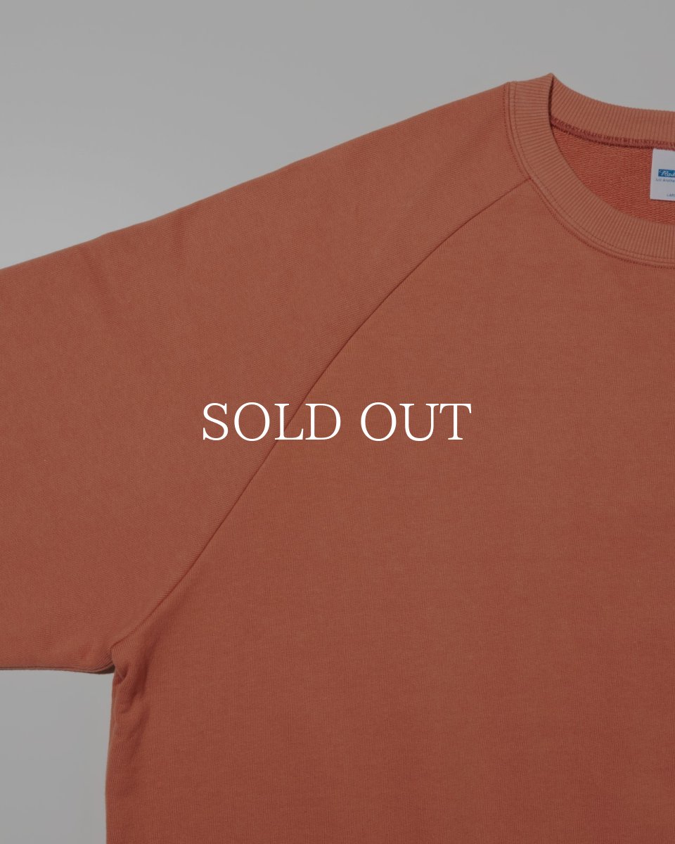 画像9: RADIALL  CHARMS - CREW NECK SWEATSHIRT L/S (9)