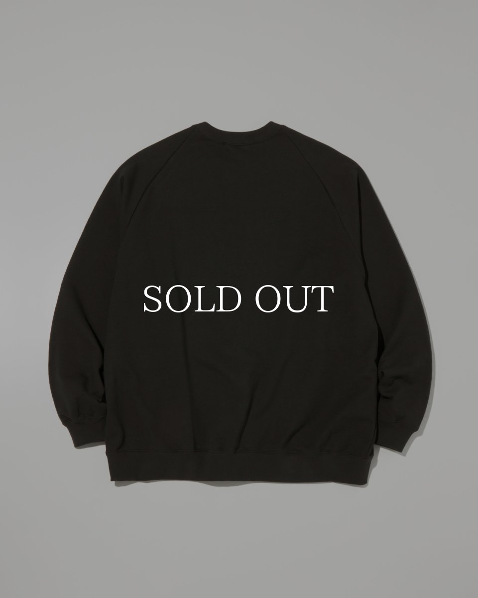 画像2: RADIALL  CHARMS - CREW NECK SWEATSHIRT L/S (2)