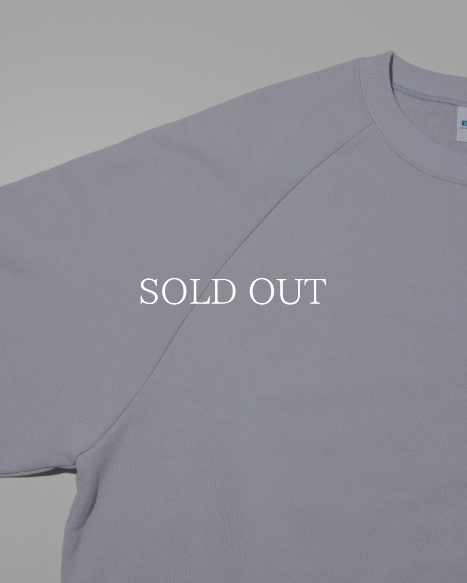 画像14: RADIALL  CHARMS - CREW NECK SWEATSHIRT L/S (14)