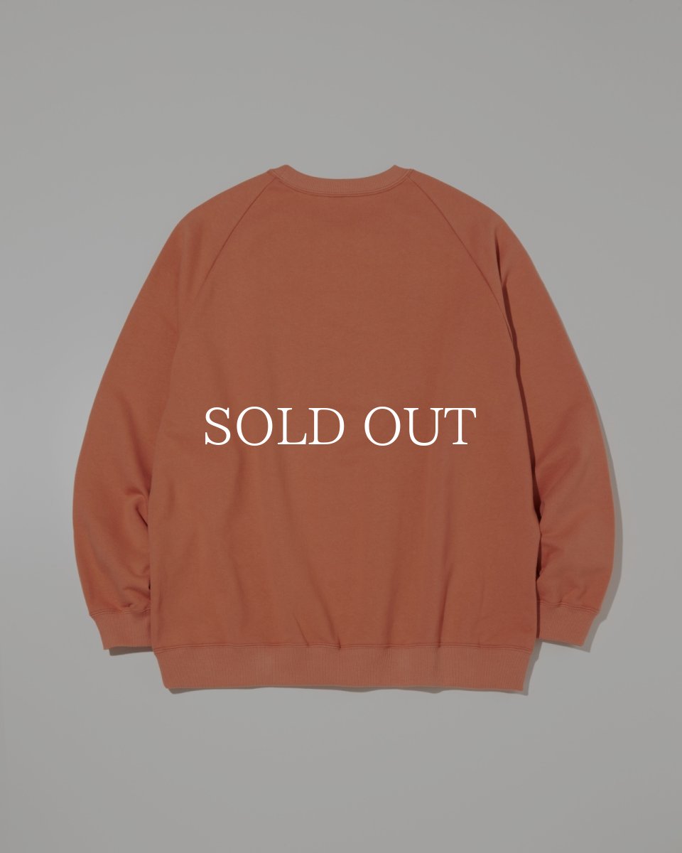 画像7: RADIALL  CHARMS - CREW NECK SWEATSHIRT L/S (7)