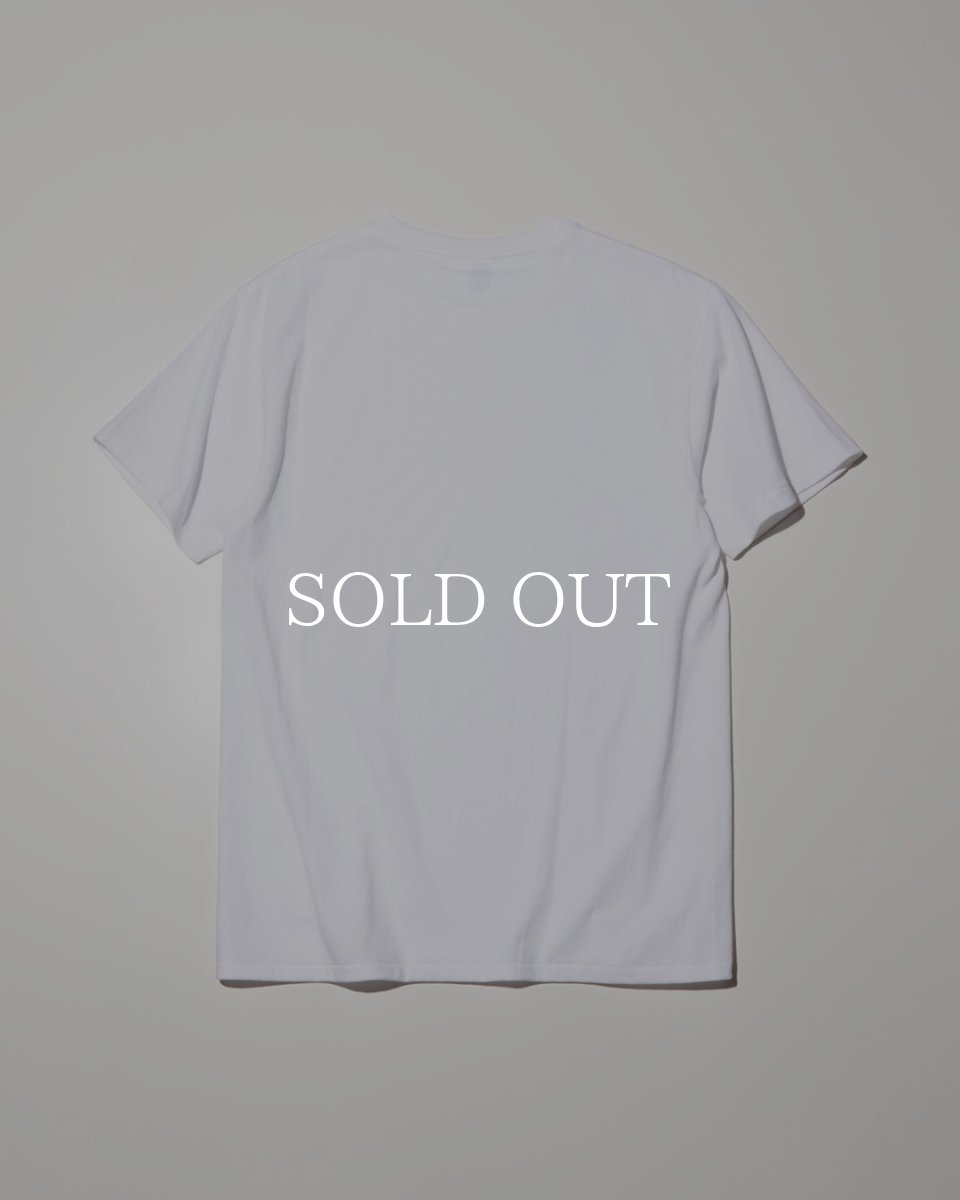 画像2: RADIALL  BASIC - CREW NECK T-SHIRT S/S (2)