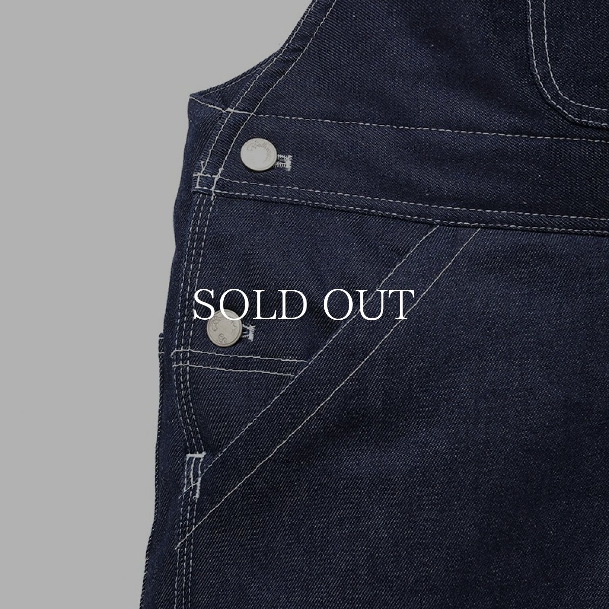 画像4: CHALLENGER  SUPERIOR WARM OVERALL (4)