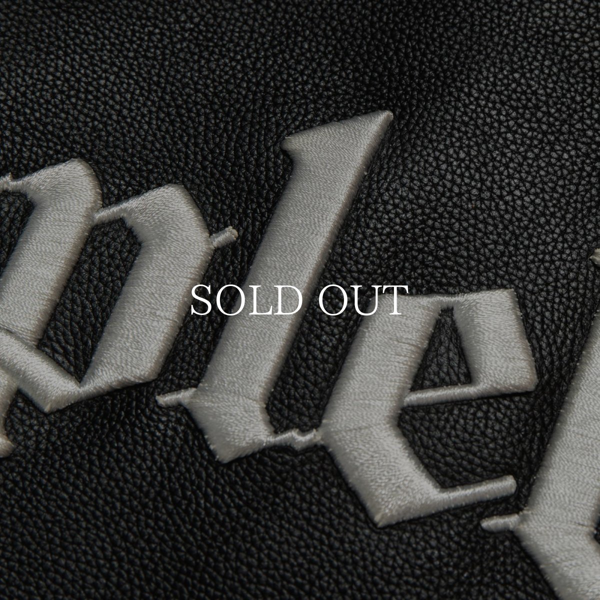 画像9: APPLEBUM  All Leather Stadium Jacket (9)