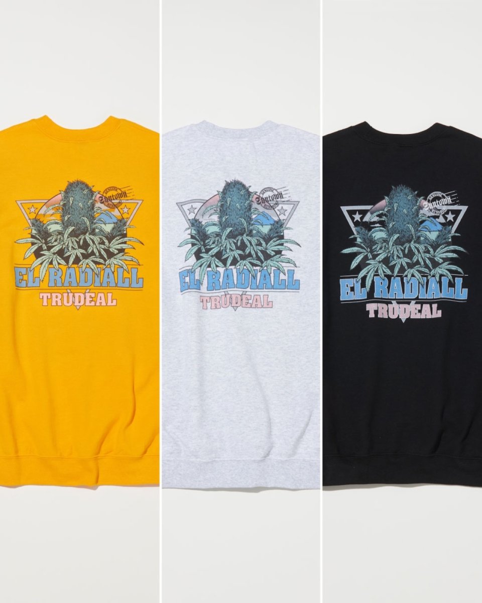 画像17: RADIALL  TRUE DEAL POT - CREW NECK SWEATSHIRT L/S (17)