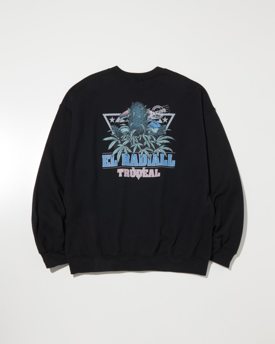 画像2: RADIALL  TRUE DEAL POT - CREW NECK SWEATSHIRT L/S (2)