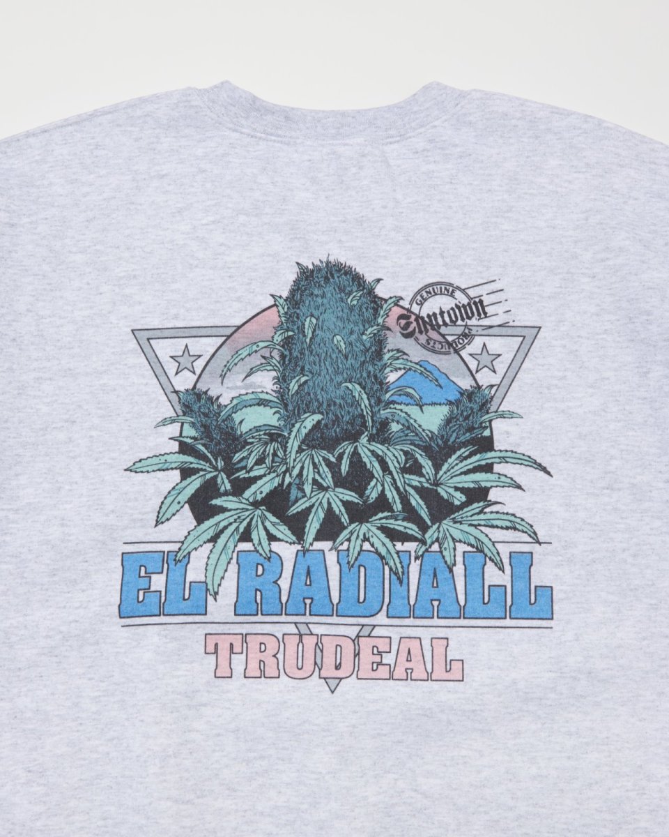 画像9: RADIALL  TRUE DEAL POT - CREW NECK SWEATSHIRT L/S (9)