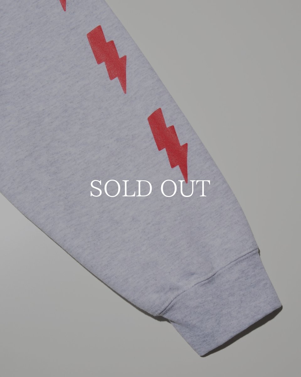 画像5: RADIALL  TOMBSTONE - HOODIE SWEATSHIRT L/S (5)