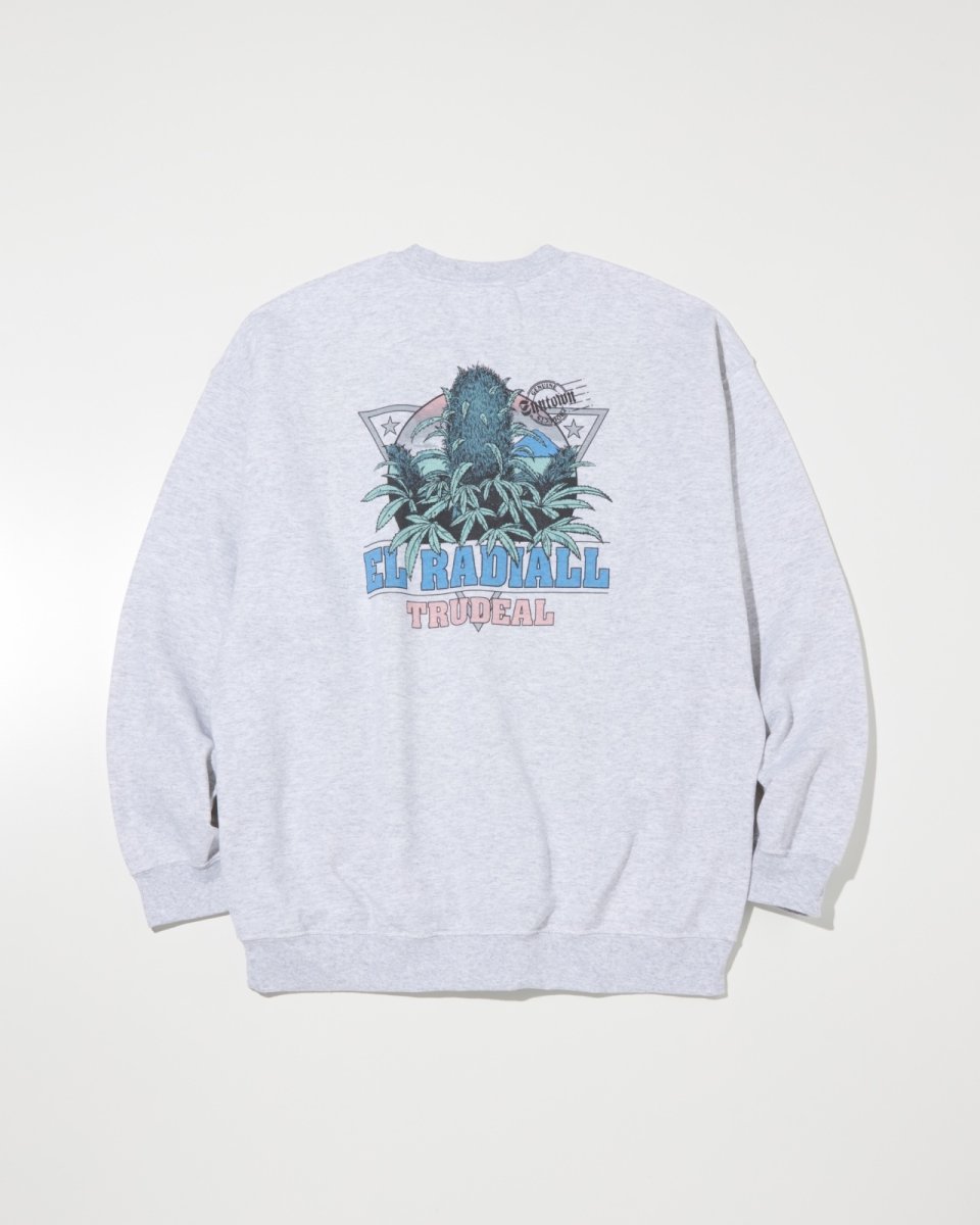 画像7: RADIALL  TRUE DEAL POT - CREW NECK SWEATSHIRT L/S (7)