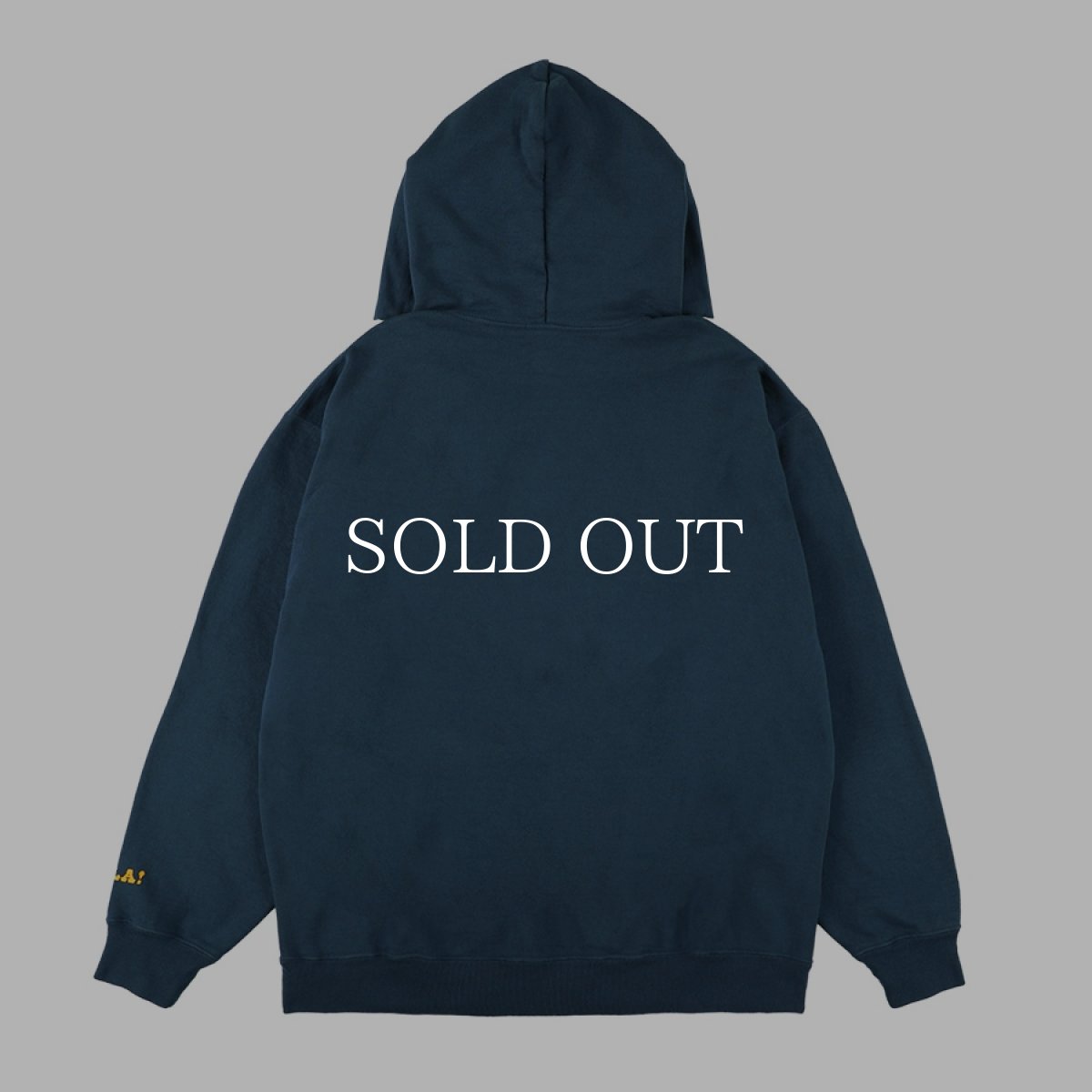 画像5: STANDARD CALIFORNIA  JEFF FOR SD LOGO HOOD SWEAT (5)