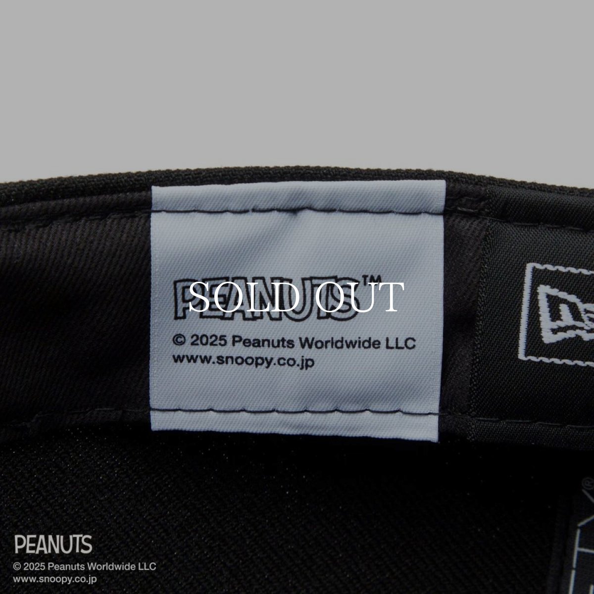 画像11: NEW ERA  59FIFTY PEANUTS ピーナッツ スヌーピー ウッドストック ピンズ ブラック (11)