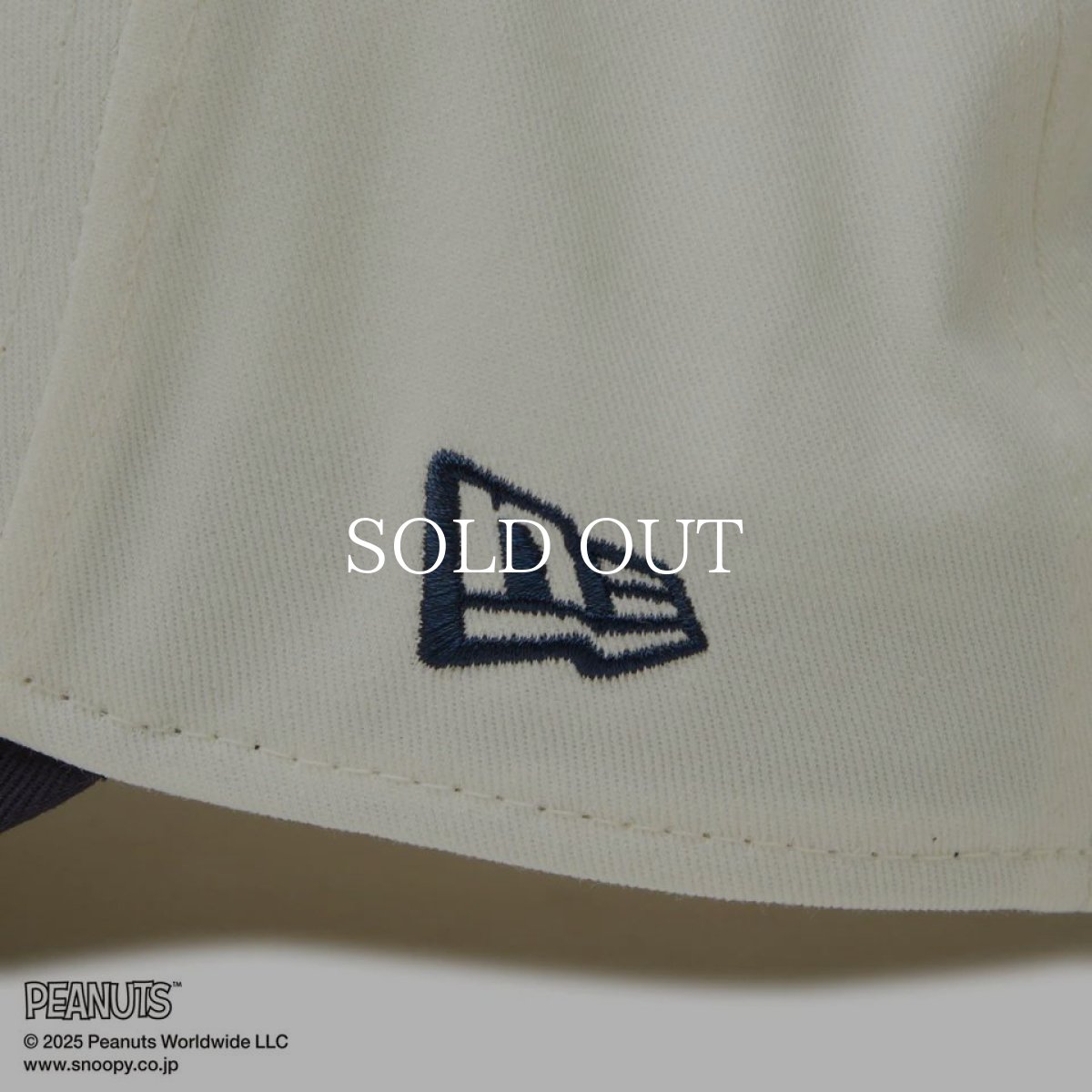 画像10: NEW ERA  【ゴルフ】 9FORTY A-Frame On Par PEANUTS ピーナッツ ボックスロゴ クローム ネイビーバイザー (10)