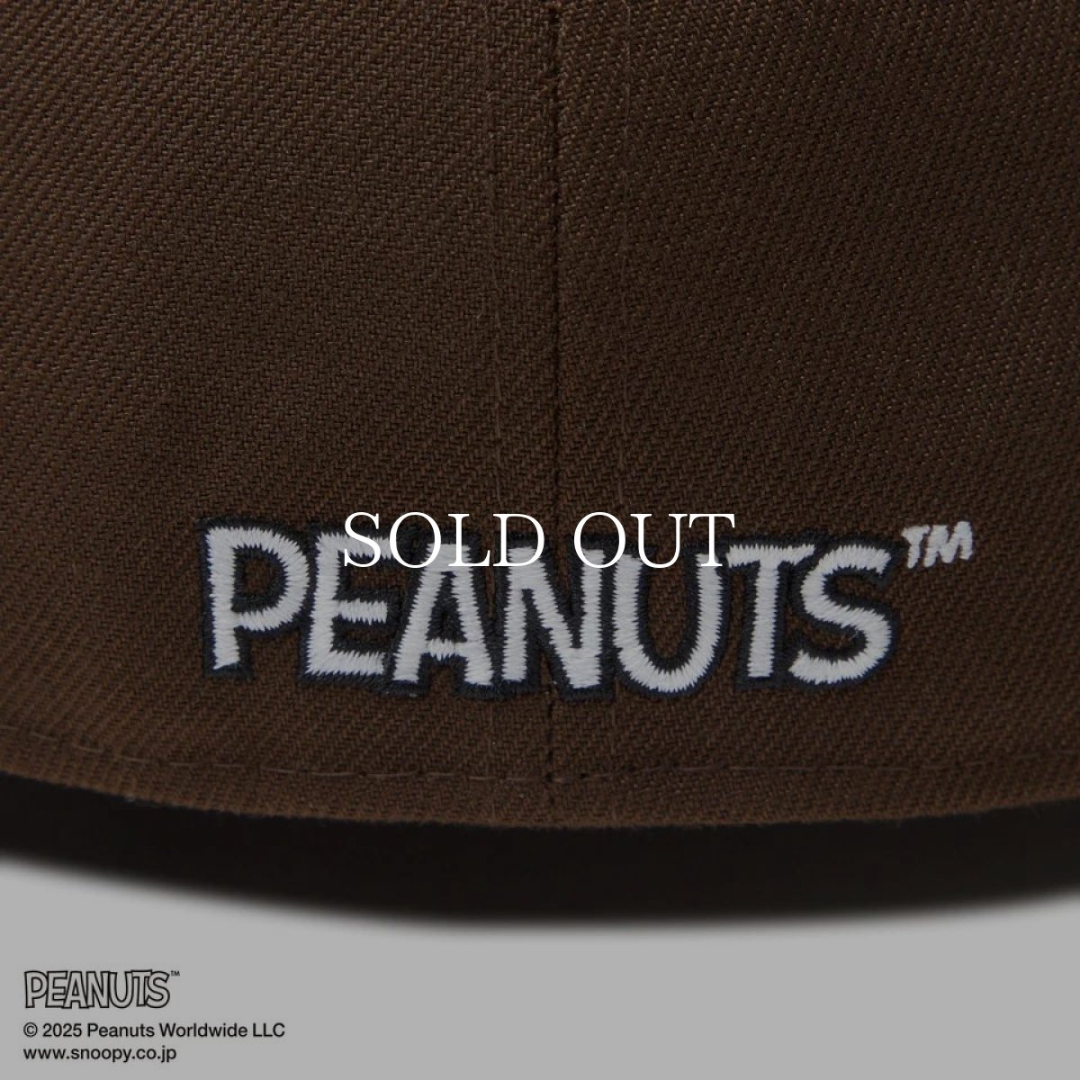 画像10: NEW ERA  59FIFTY PEANUTS ピーナッツ スヌーピー ウッドストック ピンズ ウォルナット (10)